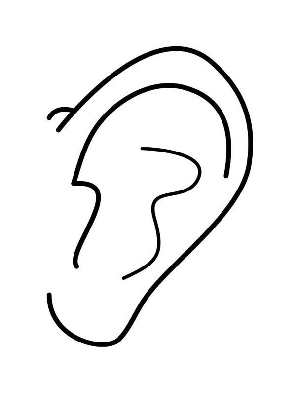 Left Ear Coloring Pages: Left Ear Coloring Pages – Kids Play Color