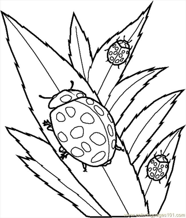 Bugs Coloring Pages Young Children - Free Printable Coloring Pages