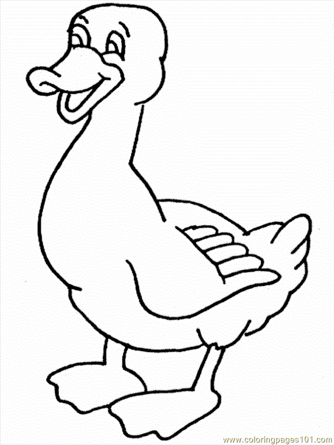 Coloring Pages Coloring Pages Duck6 (Birds > Ducks) - free