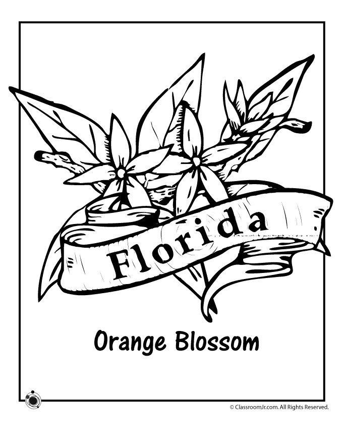 Florida State Bird Coloring Page