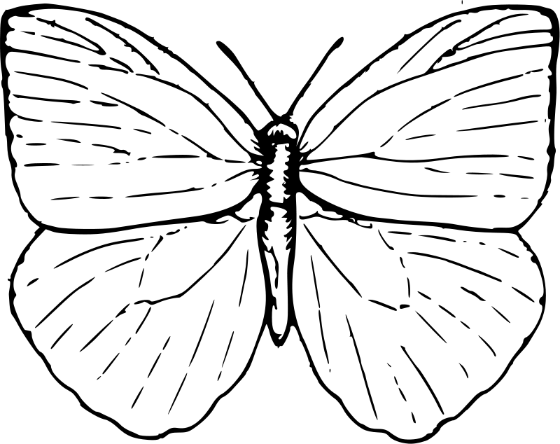 colorwithfun.com - free coloring page