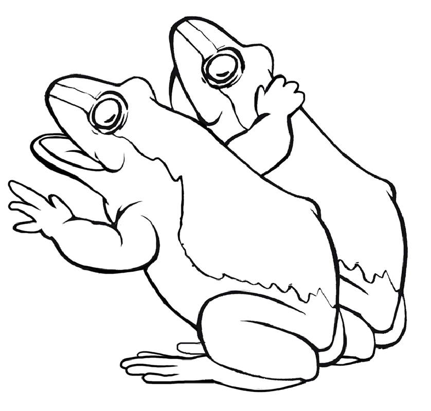Frogs Coloring Pages 15 | Free Printable Coloring Pages