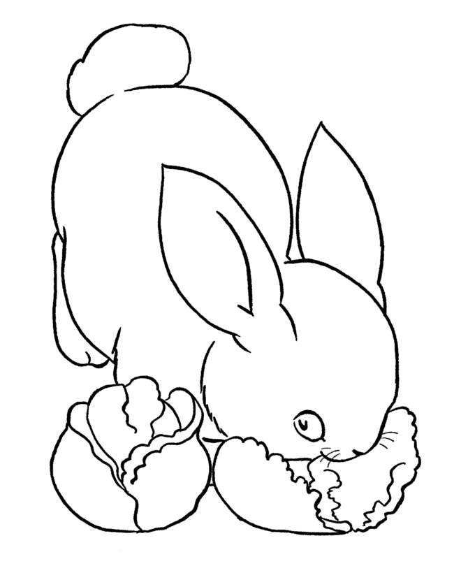 Easter Bunny Coloring Pages |Bunny Pet free printable Easter Bunny