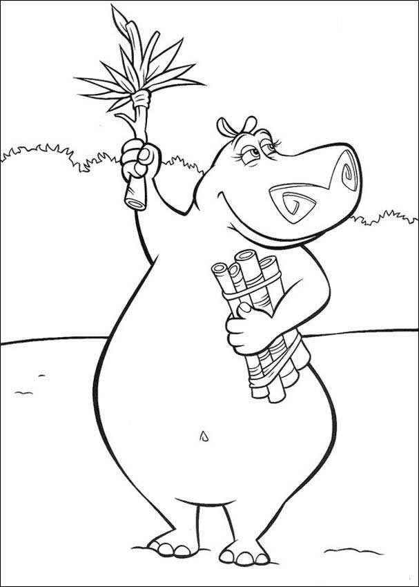 Hippopotamus-coloring-pictures-20 | Free Coloring Page Site