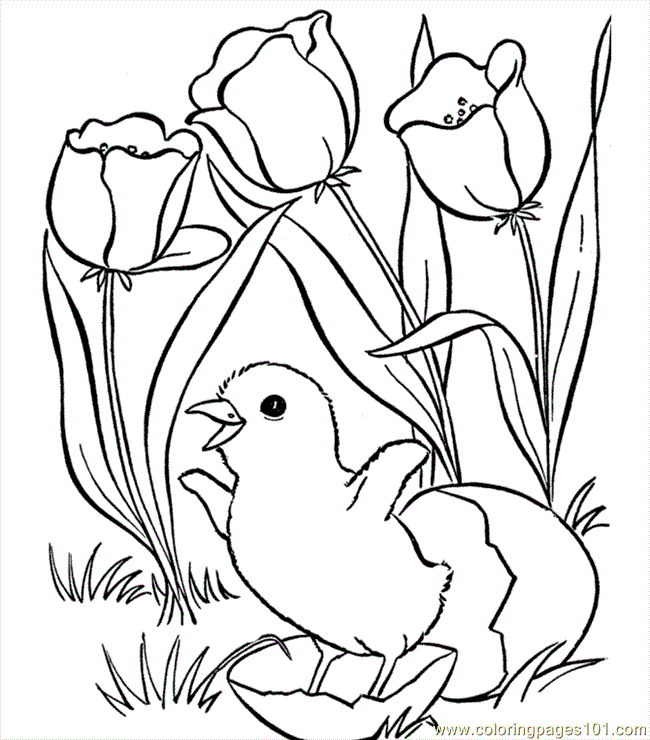 Coloring Pages Easter Flower (Natural World > Flowers) - free
