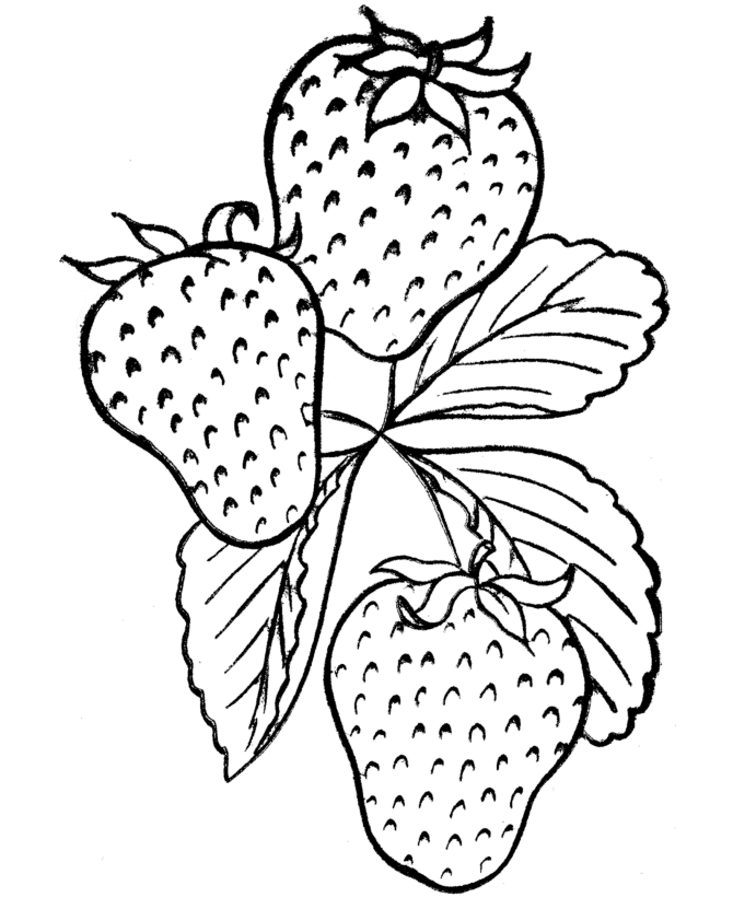 Thanksgiving Dinner Coloring Page Sheets - Strawberries on the