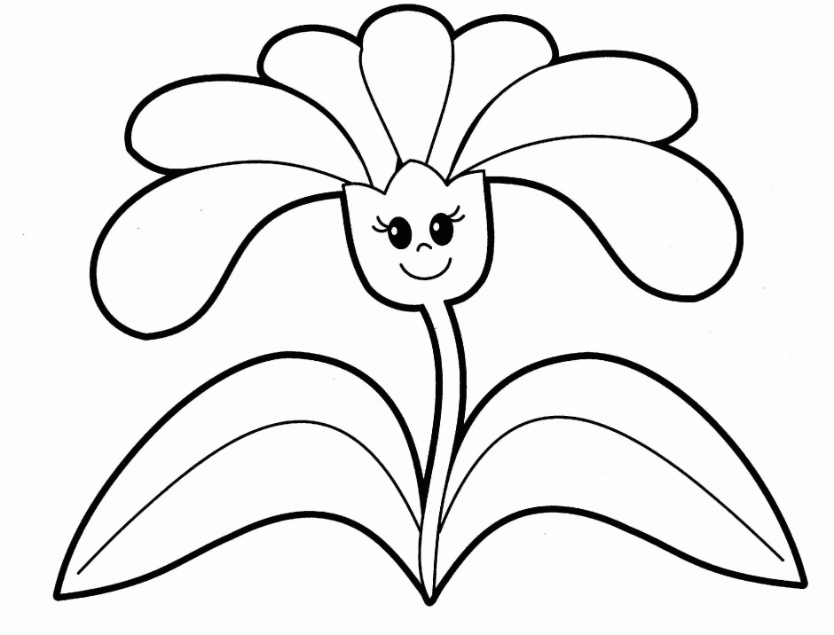 Compass Plant Coloring Page 244694 Plant Coloring Pages