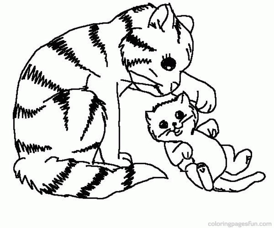 Baby Kitten Coloring Pages - Bestshare.pw | Bestshare.pw