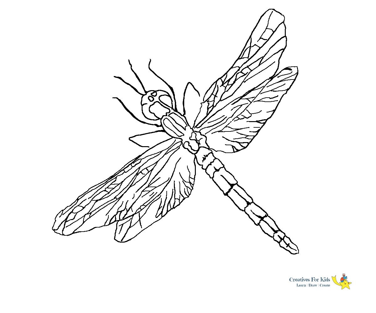 Coloring Pages : Tremendous Dragonflyloring Page Insects For Sale Free Pages  Adults To Print 58 Tremendous Dragonfly Coloring Page ~ Off-The Wall ATL