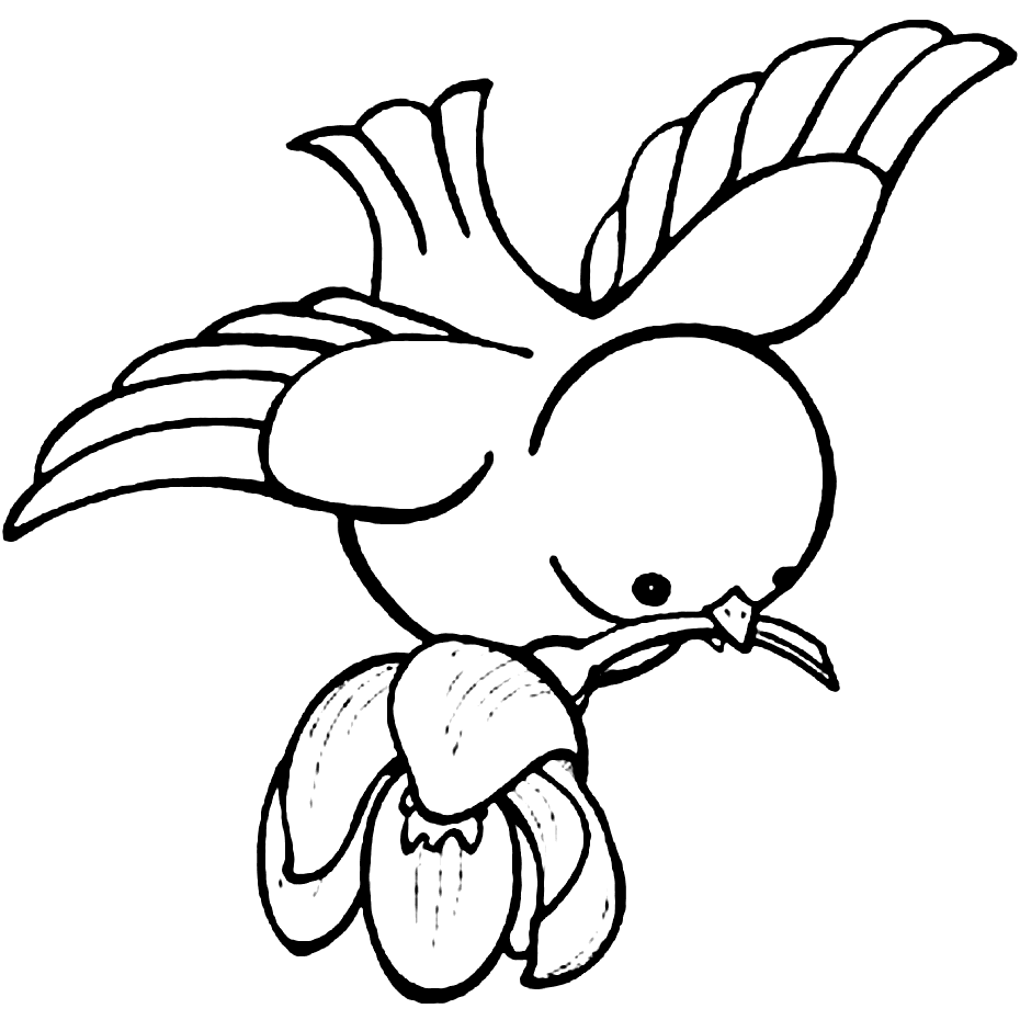 Cute Flying Bird Coloring Page – coloring.rocks!