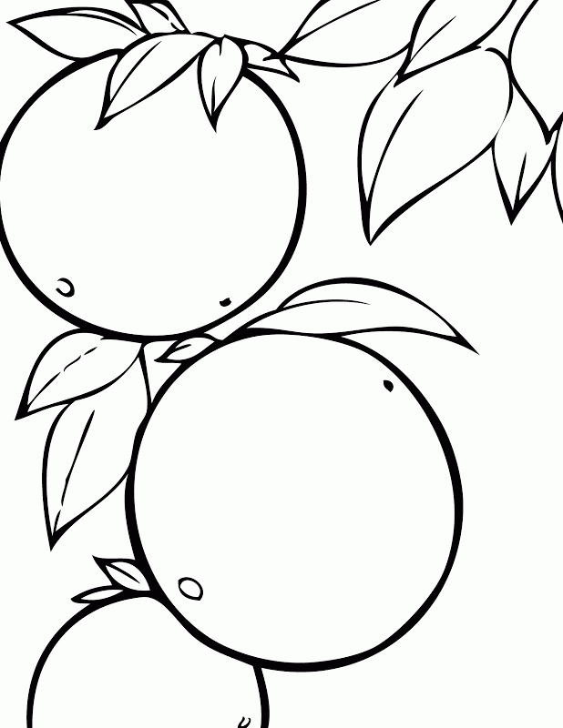 Coloring Pages Of Fruit