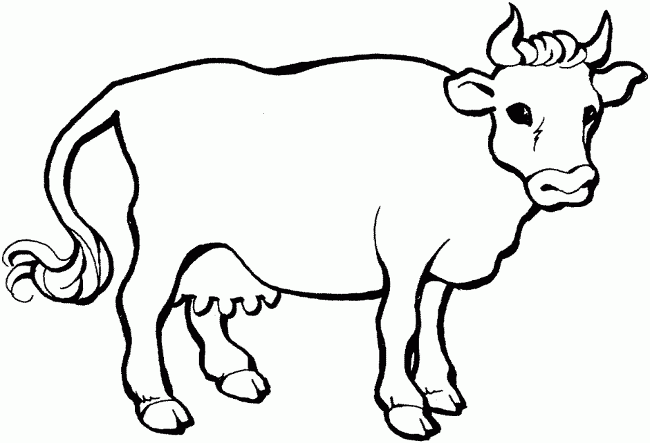 Cow Coloring Pages 14439 Label Angus Cow Coloring Pages Baby Cow