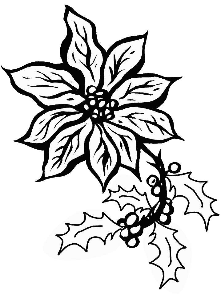 poinsettias Colouring Pages