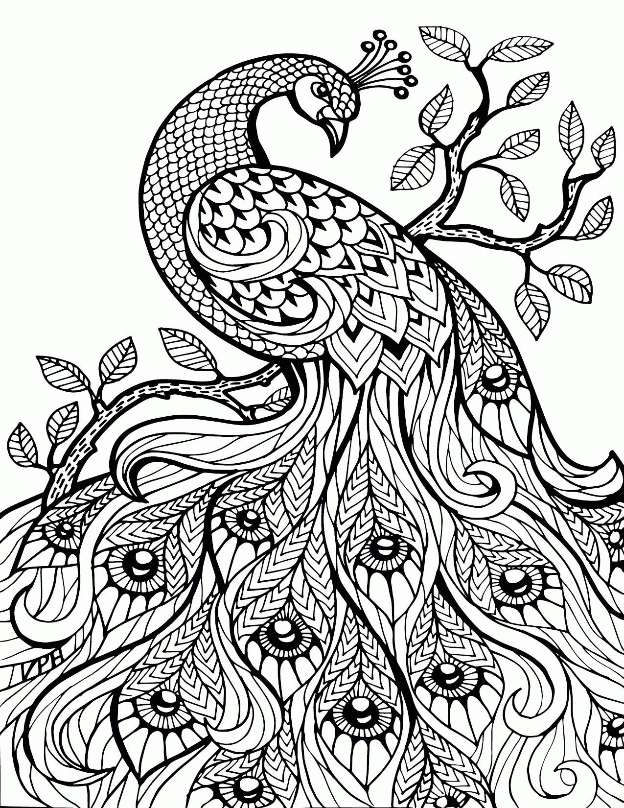 40 Collections Free Flowers Coloring Pages for Adults ...