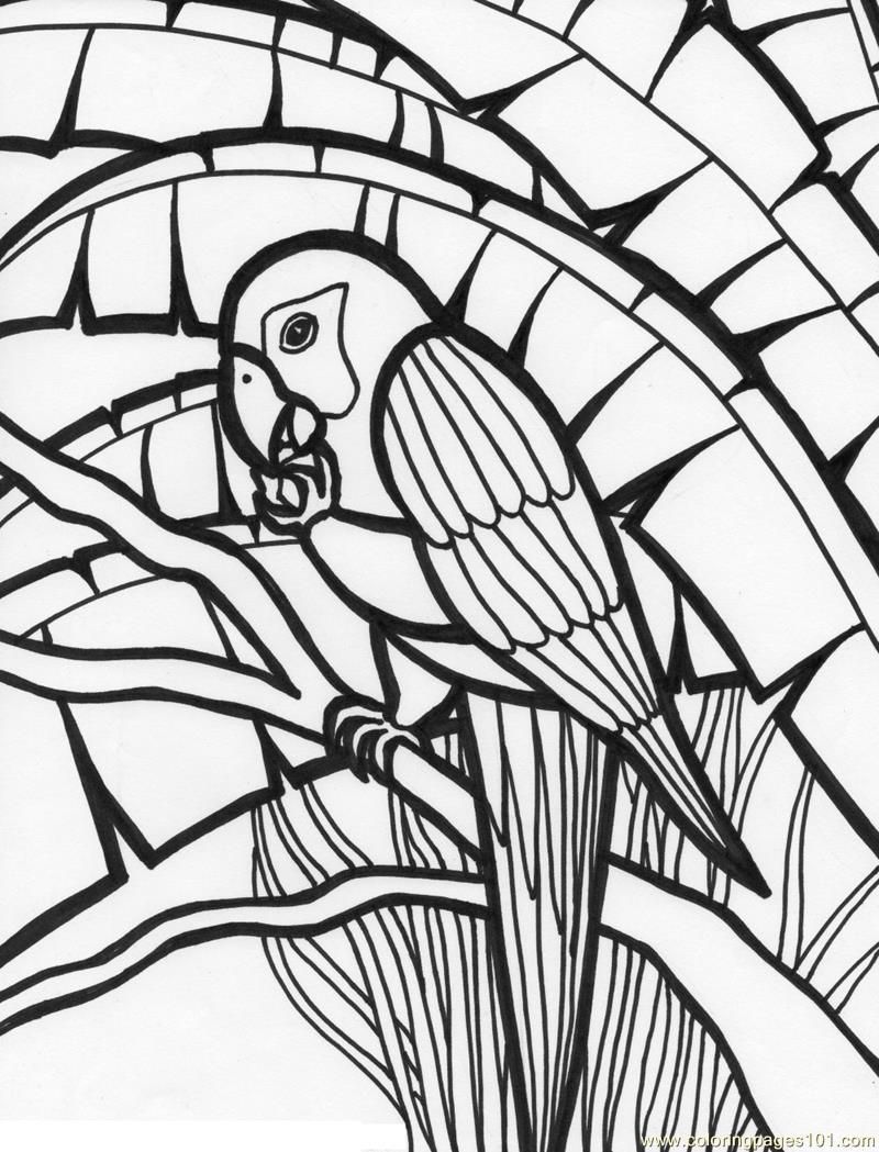 9 Pics of Jungle Birds Coloring Pages - Tropical Bird Coloring ...