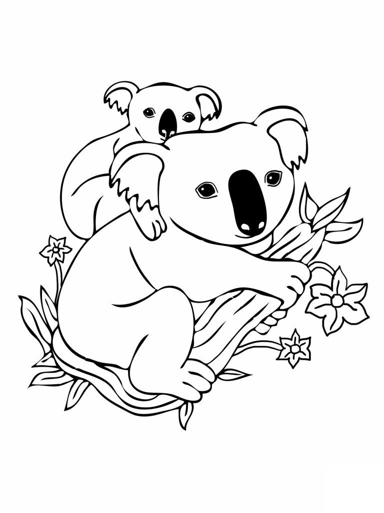 Free Printable Koala Coloring Pages For Kids | Bear coloring pages ...