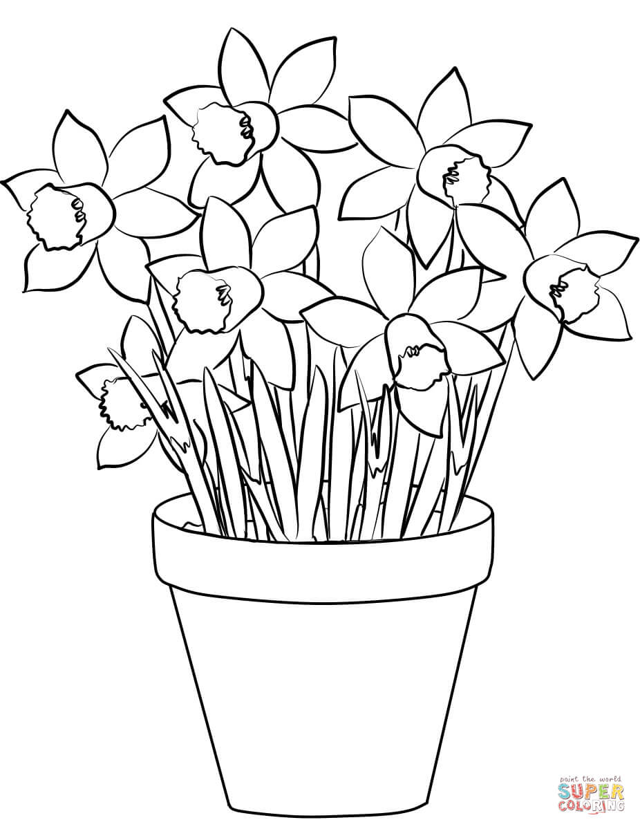 Daffodils coloring page | Free Printable Coloring Pages