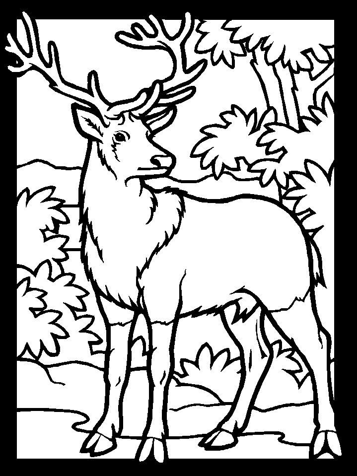 Deer Hunting Coloring Pages - Free Printable Coloring Pages | Free