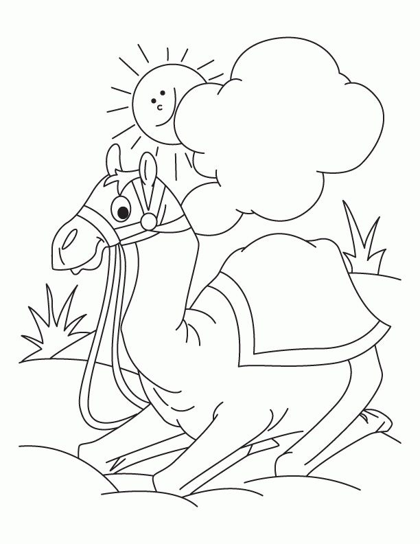 Camel is sitting in the desert coloring page | Download Free Camel