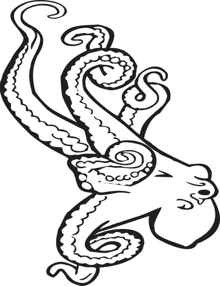 Printable Octopus Coloring Pages | animalgals