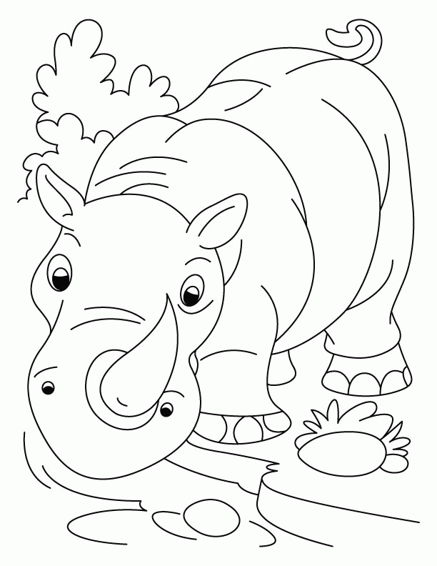 Coloring Picture Of An Owl | Animal Coloring Pages | Kids Coloring