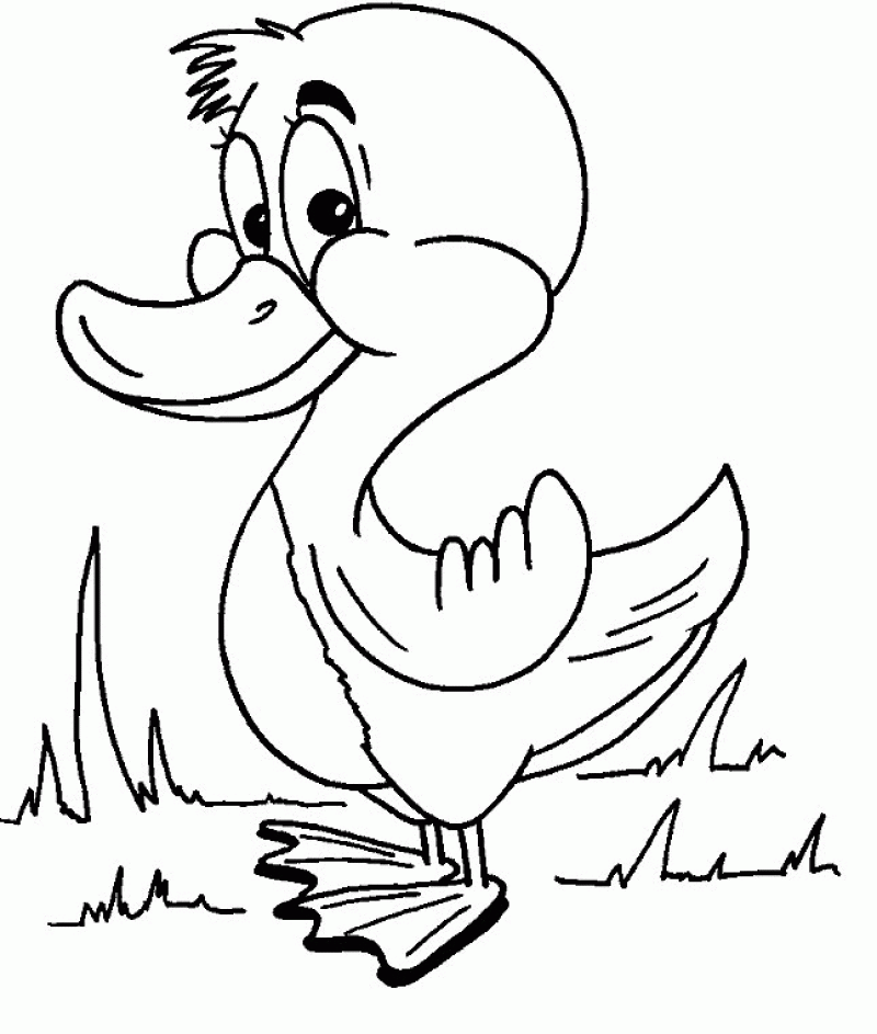 Coloring Pages A Duck For Kids - HD Printable Coloring Pages