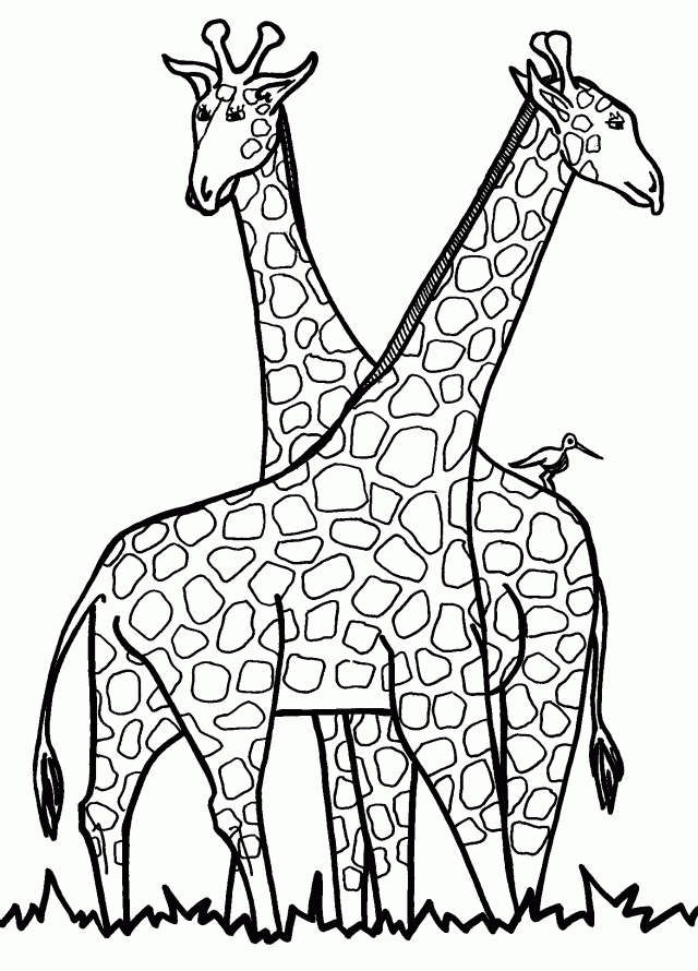 Giraffe Coloring Pages 8526 Label Baby Giraffe Coloring Pages