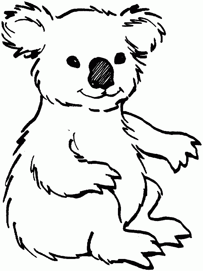 Koala Pictures For Kids | Free coloring pages