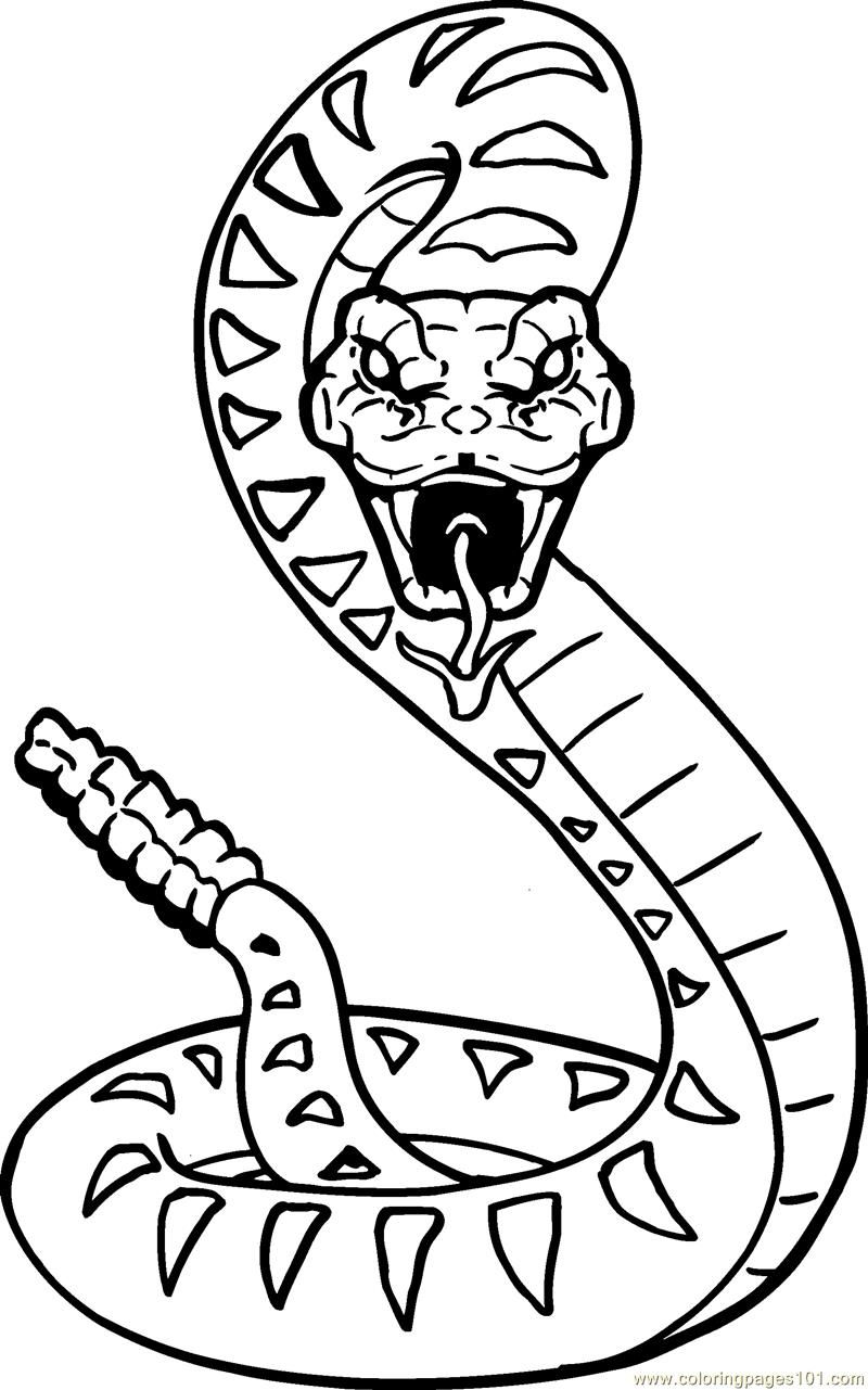 14 Pics of Printable Rattlesnake Coloring Page - Snake Coloring ...
