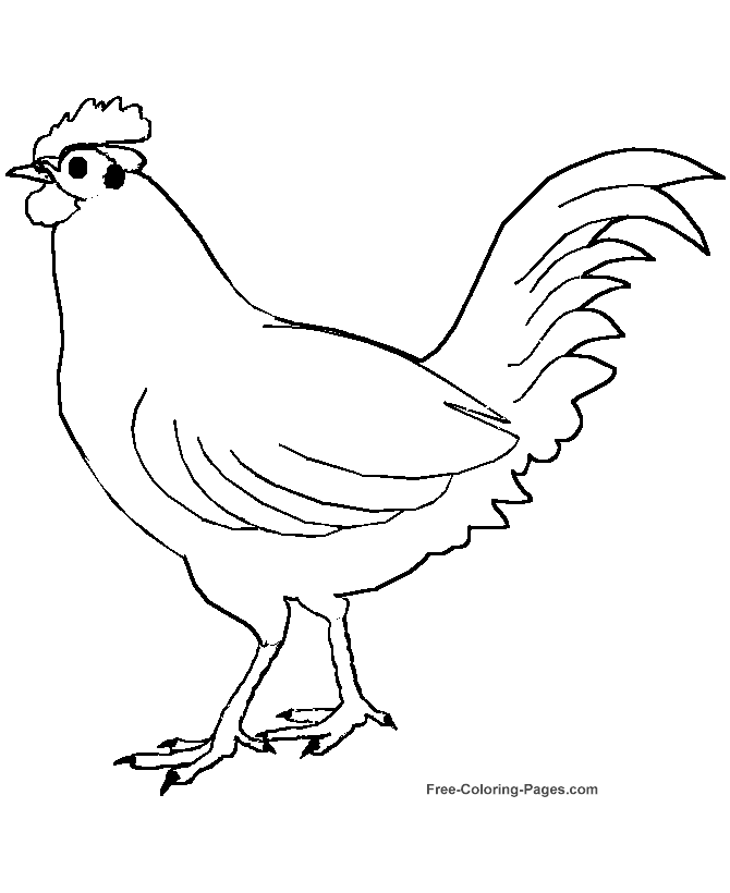 Printable coloring pages of birds - Chicken 01