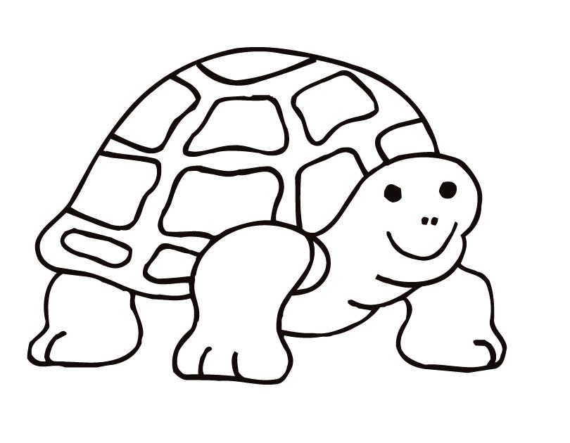 coloring pages turtles printable : Printable Coloring Sheet ~ Anbu