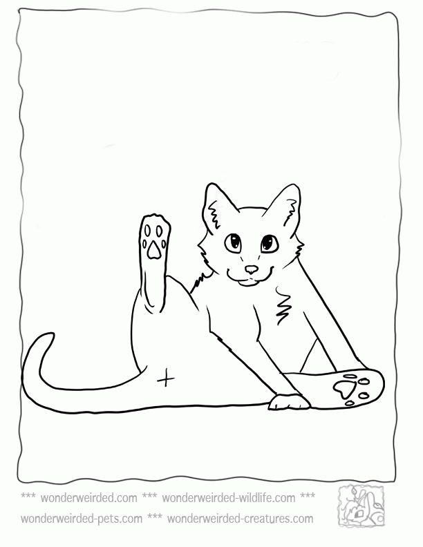Cat Coloring Page,Echo