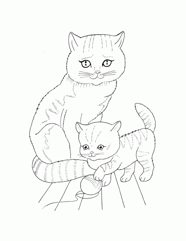 Coloring Pictures Cats LetsColoring 264934 Free Coloring Pages Cats