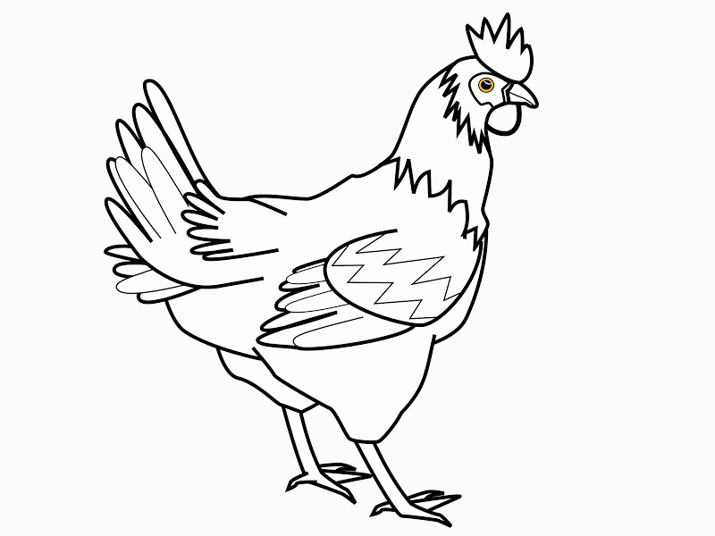 Coloring Pages Of Chickens