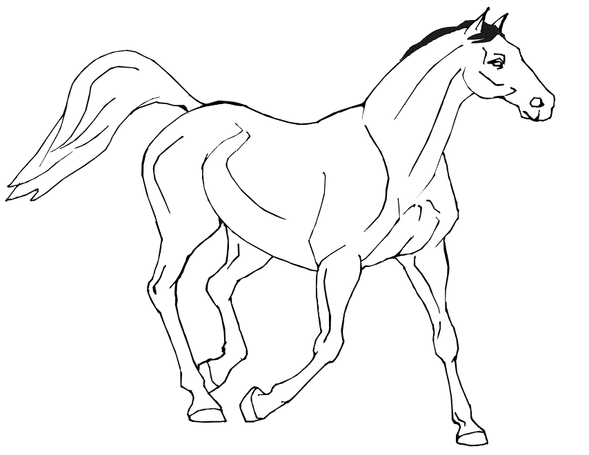 Horse Coloring Pages 67 275533 High Definition Wallpapers| wallalay.