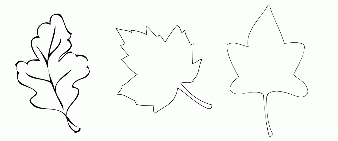 leaf print out | Coloring Picture HD For Kids | Fransus.com1114