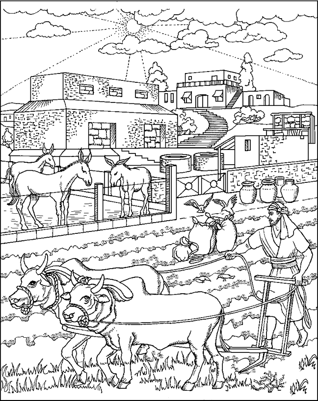 Parable of the Rich Fool Coloring Page | Biblical Truths - Fun with k…