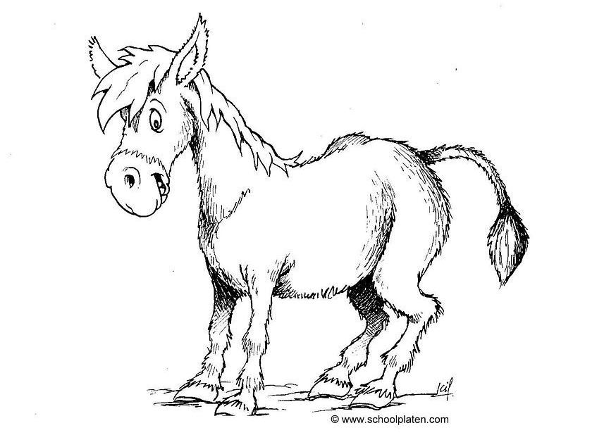 Donkey-coloring-pages-3 | Free Coloring Page Site