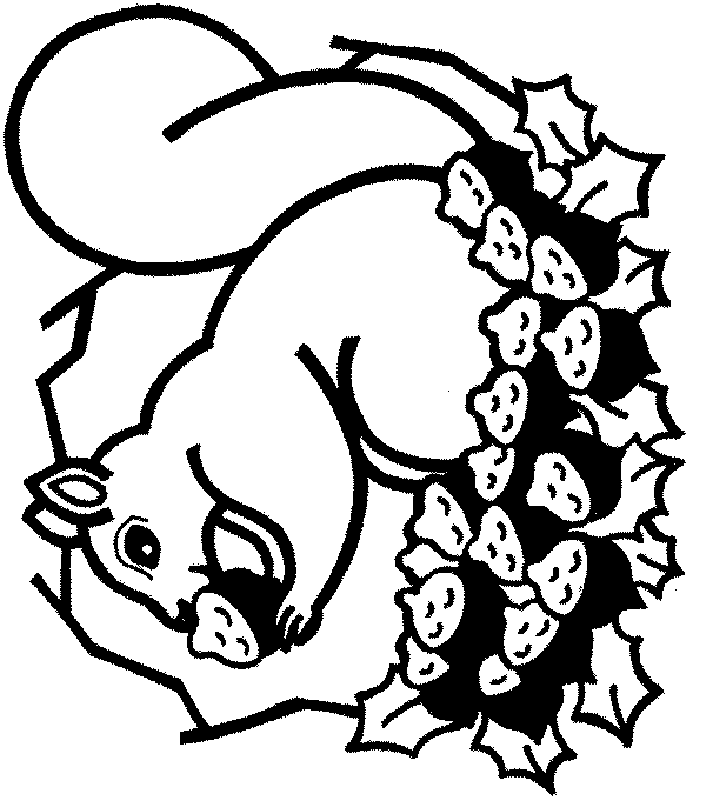 Squirrel | Free Printable Coloring Pages – Coloringpagesfun.