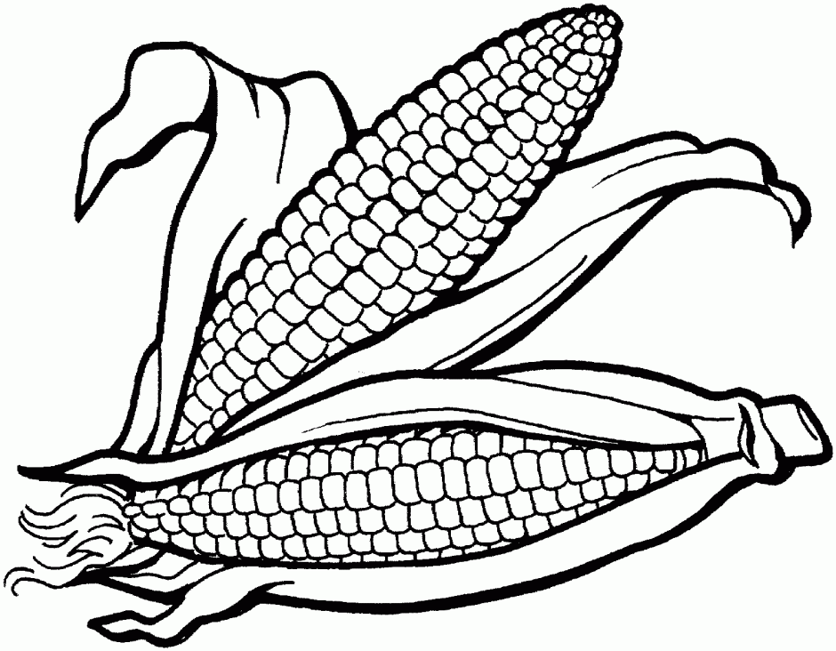 Indian Corn Coloring Page For Kids Printable Coloring Sheet 286147