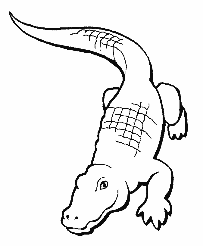 Free printable Crocodile side view coloring page for kids to print