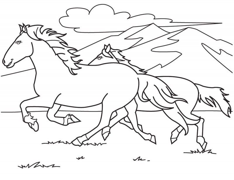 Horse Race Are Running Coloring Page - Kids Colouring Pages