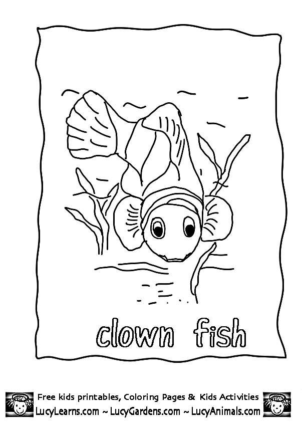 Clown Fish Coloring Page,Lucy learns Free Fish Coloring Pages of