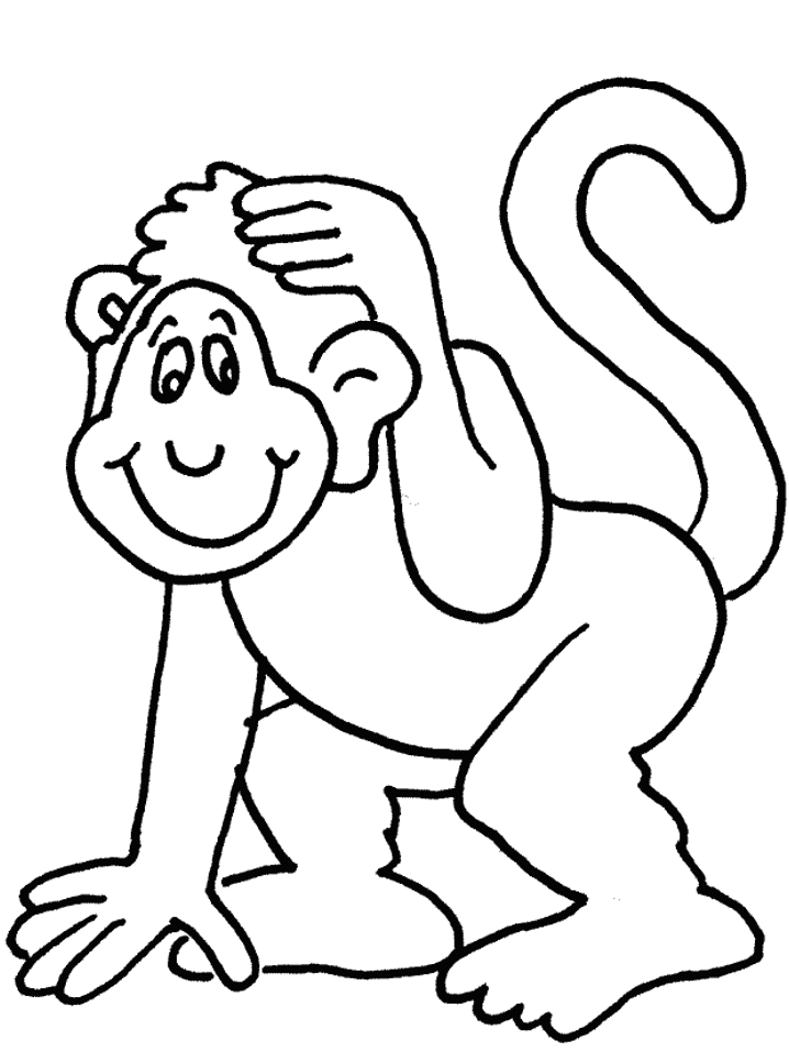 Monkey Animals Coloring Pages & Coloring Book