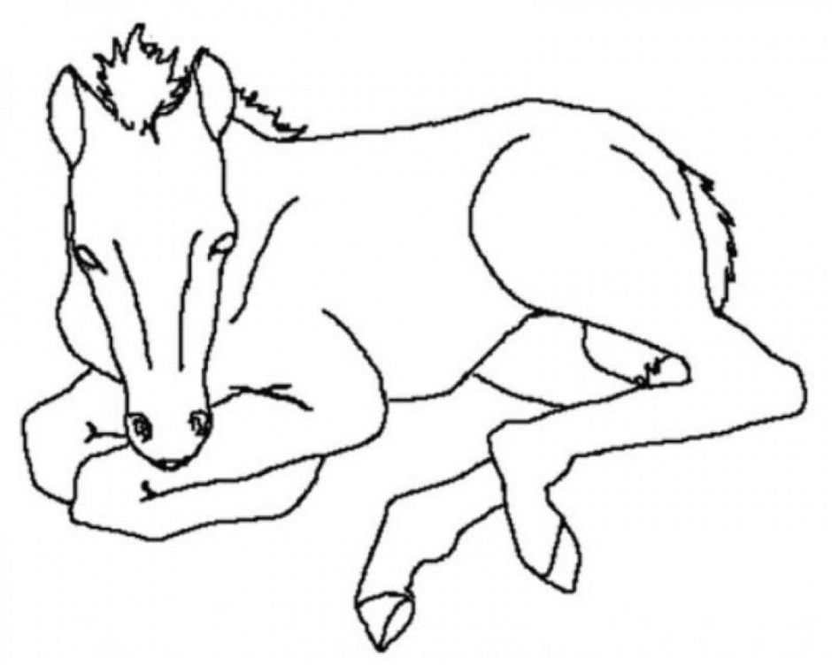 Cute Animals Coloring Pages Coloring Book Area Best Source For