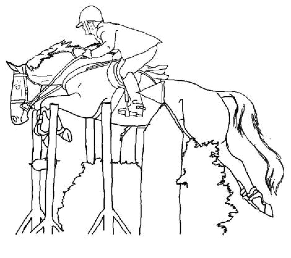 horses show jumping Colouring Pages