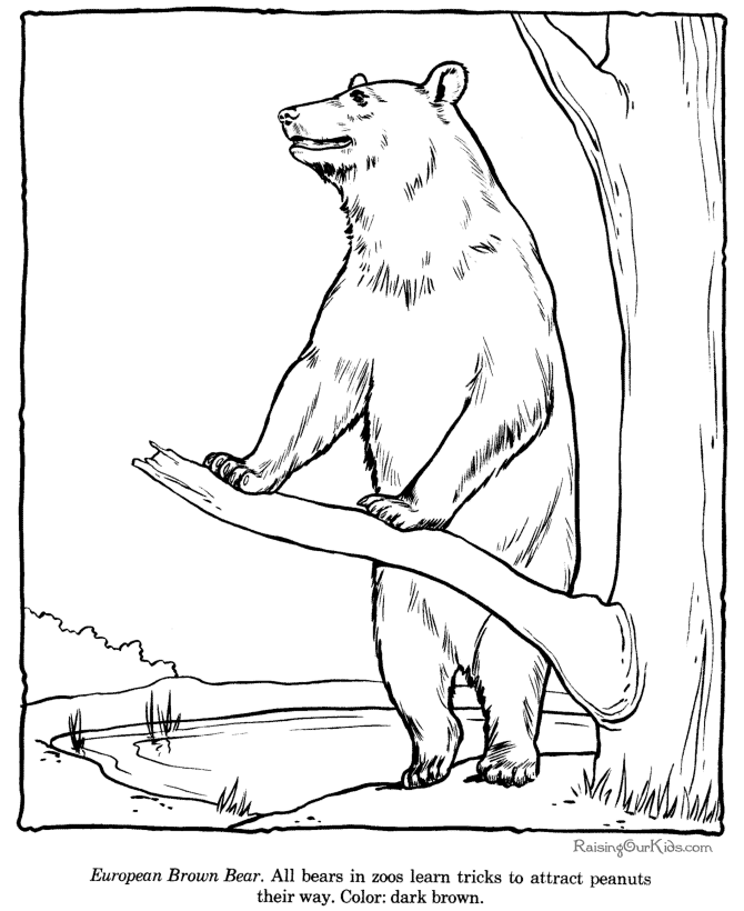 Brown Bear coloring pages for kids | Best Coloring Pages