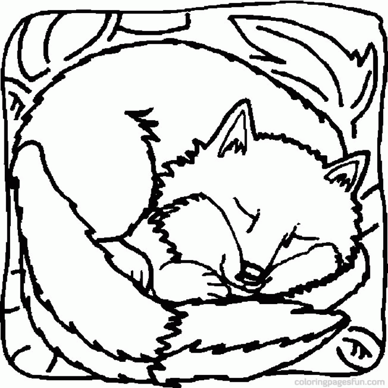 Fox | Free Printable Coloring Pages – Coloringpagesfun.com | Page 2