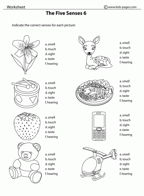 The five senses coloring page work sheet for kids