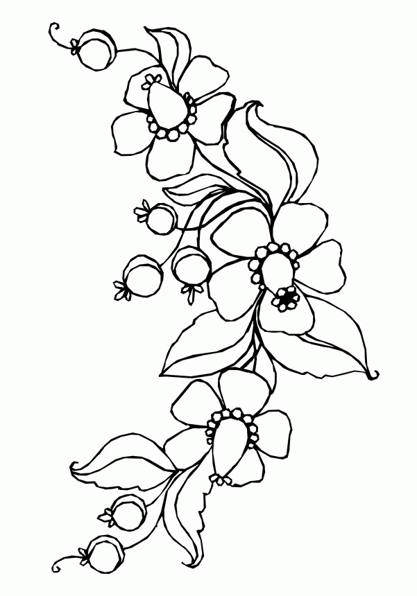 Flowers Coloring Pages Print - Flowers Coloring Pages : Free